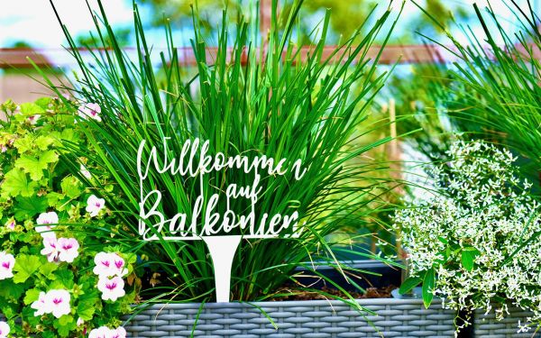 2048-Poesie-Gartenstecker-Willkommen-auf-Balkonien.jpg