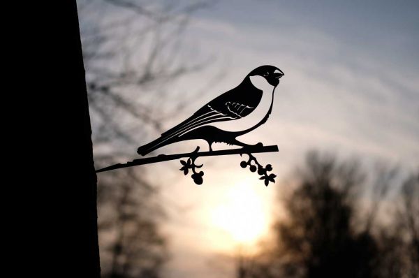 Baumstecker Glücksvogel Dompfaff