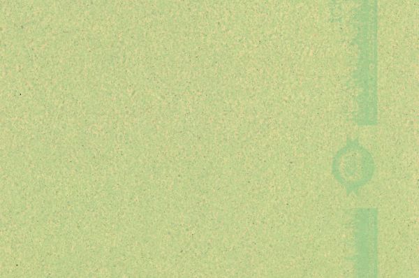 Gras-Pistazie-Scan.jpg