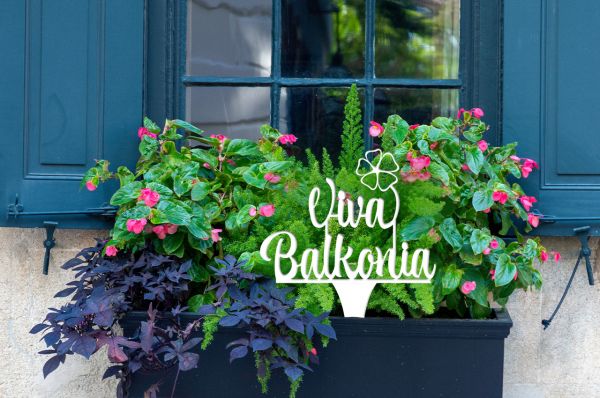 2050_Viva_Balkonia_Balkon_Balkonkaesten_Blumentoepfe_Terrassen_Gartenstecker.jpg